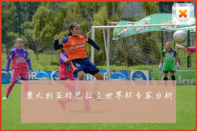 澳大利亚对巴拉圭世界杯专家分析