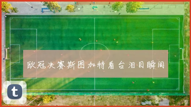 欧冠决赛斯图加特看台泪目瞬间