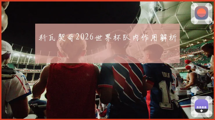 科瓦契奇2026世界杯队内作用解析