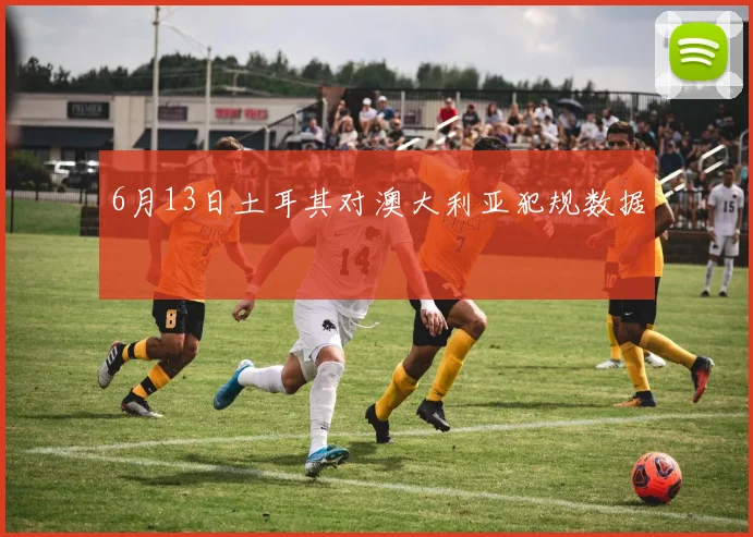 6月13日土耳其对澳大利亚犯规数据