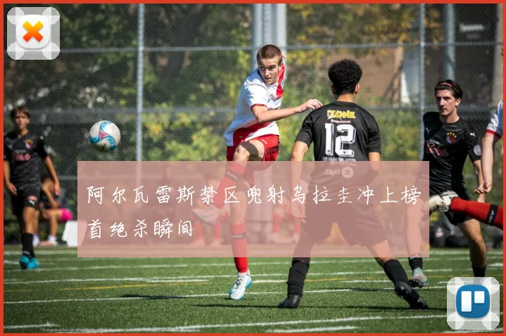 阿尔瓦雷斯禁区兜射乌拉圭冲上榜首绝杀瞬间
