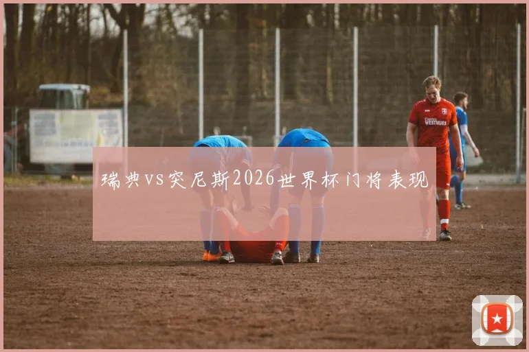 瑞典vs突尼斯2026世界杯门将表现